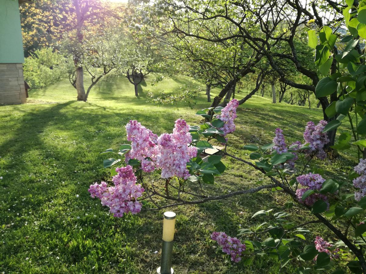 Private Place, Boca Bihać 外观 照片